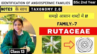 Rutaceae Family 🌼 Floral diagram and formulas  Taxonomy  Economic importance [upl. by Darill433]