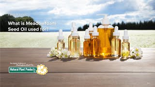 What Meadowfoam Seed Oil Is Used For [upl. by Oicor]