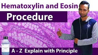 Hematoxylin and Eosin Staining Procedure  A  Z Explain with principles [upl. by Enybor982]