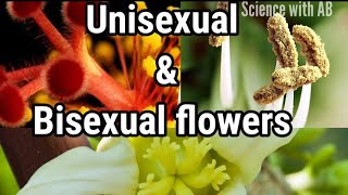 Bisexual and unisexual flowers biology sciencewithAB [upl. by Barden]