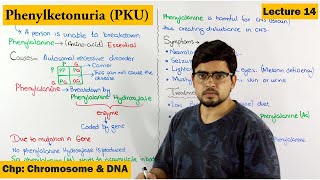 PhenylKetonuria PKU  A Genetic Disorder  Lecture 14 [upl. by Patsy]