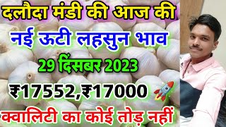 दलौदा मंडी आज का नई ऊटी लहसुन भाव 29 दिसंबर 2023 best ooty garlic daloda nai lahsun ka bhav [upl. by Fitzpatrick520]