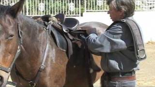 How To Do A Tackaberry Cinch Australian Stock Horse Saddle Company [upl. by Darrill]