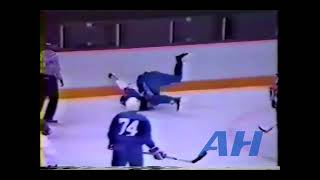 NHL Sep  1991 Serge RobergeQUE v Wayne Van DorpQUE TC Quebec Nordiques [upl. by Einohtna]