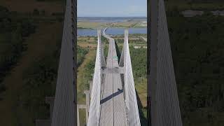 Talmadge Memorial Bridge savannah georgia drone [upl. by Dorej]