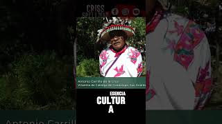 Huicholes no quotVirarikasquot nayarit cultura mexico  Criss Spellman [upl. by Columbyne]