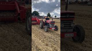 Massey Ferguson 135 with MF baler [upl. by Eartha342]