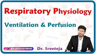 Ventilation amp Perfusion  Respiratory Physiology USMLE Step 1 [upl. by Akimat226]