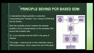 Primer extension mutagenesis or Site  Directed mutagenesis rDNA Tech using PCR earn concepts [upl. by Tevlev120]