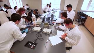 Schulich Medicine amp Dentistry  Bachelor of Medical Sciences Profile [upl. by Norton]