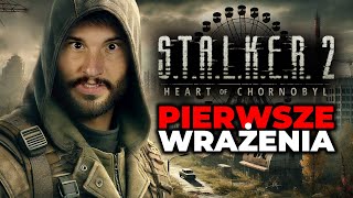 SĄ PROBLEMY  STALKER 2 SERCE CZARNOBYLA [upl. by Wylma]