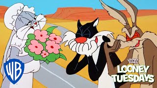 Looney Tuesdays  Who is the Greatest Trickster  Looney Tunes  WB Kids [upl. by Ebert]