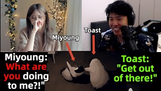 Miyoung and Toast Cute Goofy interaction in Penguin Heist Game [upl. by Dilly291]