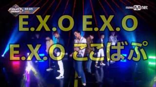 【日本語字幕】EXO KoKoBop 応援法掛け声 [upl. by Lonee908]