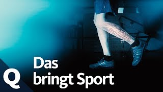 Wundermittel Sport Körper Geist und Gene profitieren von Bewegung  Quarks [upl. by Sonafets]