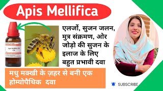 Apis Mellifica Homeopathic Medicine  Apis Mellifica 200 uses  Apis Mellifica 30 uses in hindi [upl. by Naniac]