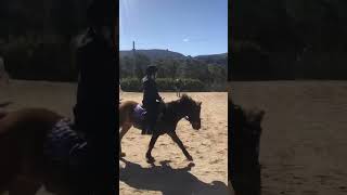 My lesson flatwork part 2 [upl. by Giltzow]