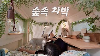 🚌세상에 하나뿐인 캠핑카에서 강아지와 단둘이 가을 차박 즐기기  묵은지 삼겹살  솔로 캠핑  스타렉스 자작 캠핑카  전라남도 보성 하느제 캠핑장 [upl. by Voletta]