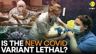 What you need to know about the new dominant COVID19 HV1 variant  WION Originals [upl. by Ahsiekam507]