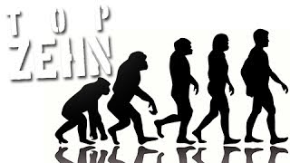 10 komische Fakten über die Evolution [upl. by Siuluj]