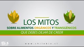 Chilebio quotLos mitos sobre alimentos orgánicos y transgénicos que debes dejar de creerquot [upl. by Elaen]