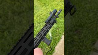 Daniel Defense RIS III rail on the Colt 605 “Dissipator” shorts musica landscape [upl. by Longley]