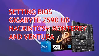 How To Set BIOS Gigabyte Z590 UD For Hackintosh Monterey amp Ventura [upl. by Aitnuahs27]