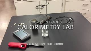 Energy in Foods Calorimetry Lab [upl. by Browne610]