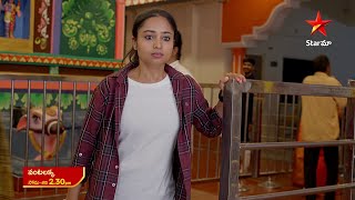 Vantalakka  Promo  23rd Nov 2024  Star Maa Serials  MonSat at 230 pm  Star Maa [upl. by Aineval28]