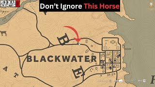 RDR2  A Sad Horse You Cant Ignore [upl. by Elimaj682]