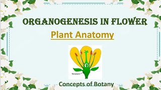 Floral Organogenesis Organogenesis in Flower Plant Anatomy Concepts of Botany UrduHindi [upl. by Proulx]