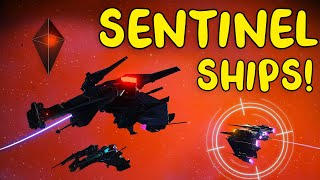 12 New BEST Supercharged Sentinel Ships Unveiled in No Mans Sky Echoes [upl. by Teerprug778]