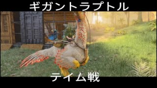 ARK 初心者奮闘 初ギガントラプトル テイム戦 罠ハメ ヘイト切り 使用不可 過去1難しい戦いだった 公式サーバー [upl. by Niaz]