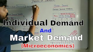 Individual Demand and Market Demand I Microeconomics [upl. by Annaerb]