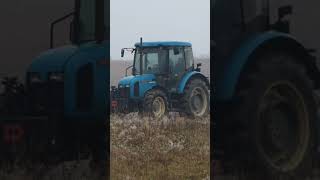 Mulčovanie 2024 Zetor 7341 Super Turbo  Vogel amp noot Mastercut [upl. by Nairad]