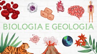 16 Geologia 11º ano  Magmatismo e Rochas Magmáticas 🌋 [upl. by Saoj905]