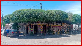 TIENDA HERMANOS BARRERA VIDEOS CORTOS DE BARRANCABERMEJA [upl. by Stubstad]