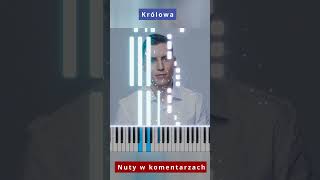 MiłyPan  Królowa 🎹 Piano Tutorial 🔥 Nuty shorts [upl. by Esdnil]