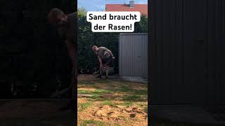 Sand braucht der Rasen Rasen sanden Sand für den Boden shorts rasen pflege liebe sanden [upl. by Moe]