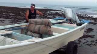 BUZOS DE ABULÓN EN BAJA CALIFORNIA SUR HD [upl. by Philomena]