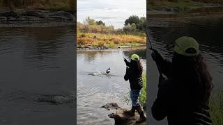 Big hen on the Yakimasubscribe river fish outdoors riverlife [upl. by Milena184]