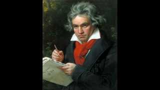 Beethoven  Symphony No 2 in D major Op 36 [upl. by Eillehs]