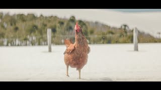 Crossroads  KFC Funny Commercial [upl. by Aicenaj]