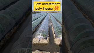 Low budget polyhouse techniques low price poly house shorts trending polyhousefarming farming [upl. by Catha853]