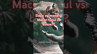 Pertarungan sengit macan tutul vs buaya pertarungan hewanbuas predator [upl. by Laurita]