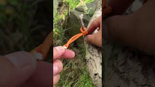 A Genius Knot  Simple yet Useful lifehacks lifeskills knots [upl. by Zsuedat]