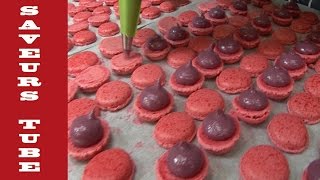 How to Pipe Curd onto French Macarons with The French Baker TV Chef Julien from Saveurs [upl. by Harbard]