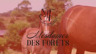 46 UNTE DES FORETS [upl. by Giuliana]