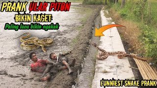 Prank Ular Piton Paling Extreme  Super Lucu Bikin Ngakak 🤣🤣  Funniest Snake Prank [upl. by Ludovika]