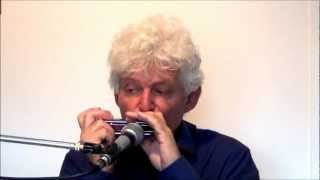 Tims Tiny Tunes 002 Dm7 Samba Level 2 Playalong lessons  Jazz harmonica licks [upl. by Ricardama]